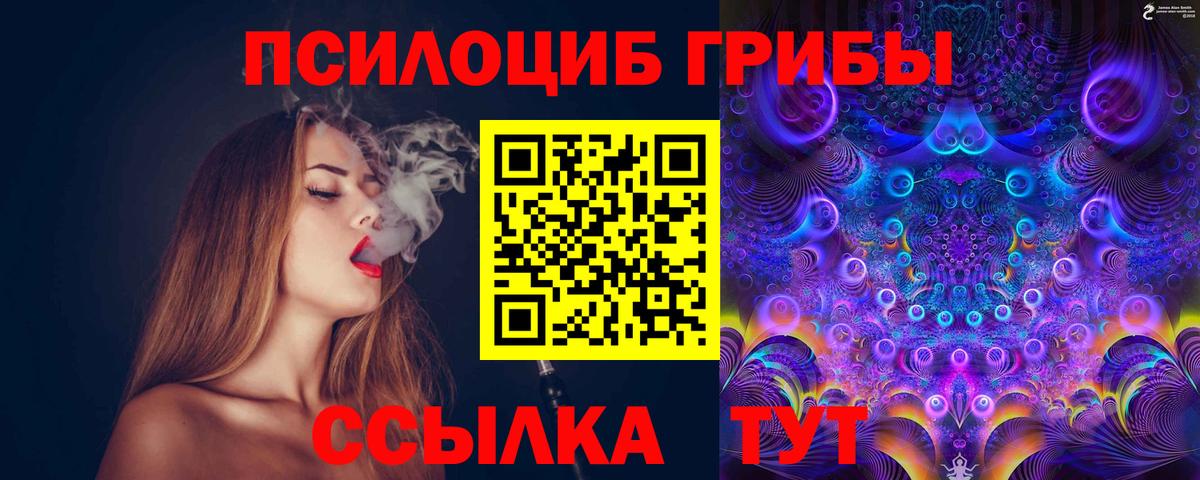 Псилоцибиновые грибы мицелий  Вход с VPN  Приморско-Ахтарск 